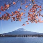 Avatar Lorenzo Robles