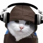 Avatar Pilar Montiel