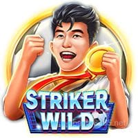 Imagen del juego Striker WILD